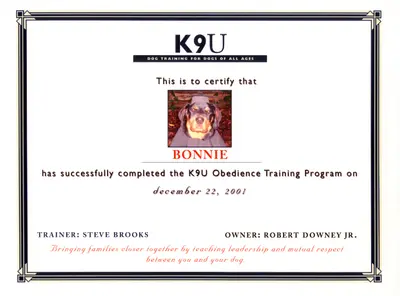 K9U training certificate for Robert Downey Jr.'s dog Bonnie
