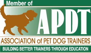 APDT_Member_Logo_Print_300_dpi_JPEG-1024x600