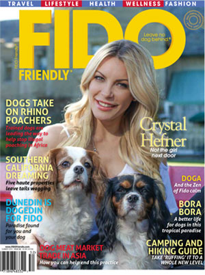 summer-fido-cover